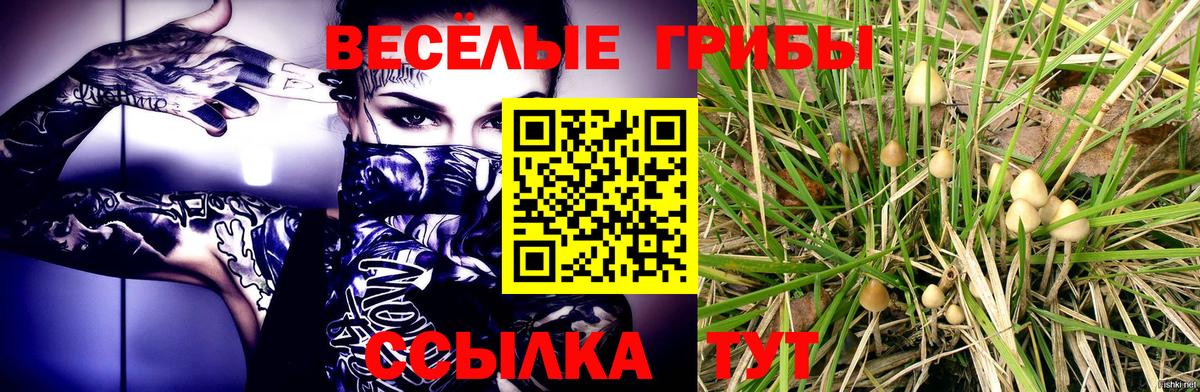 Галлюциногенные грибы мицелий Надым